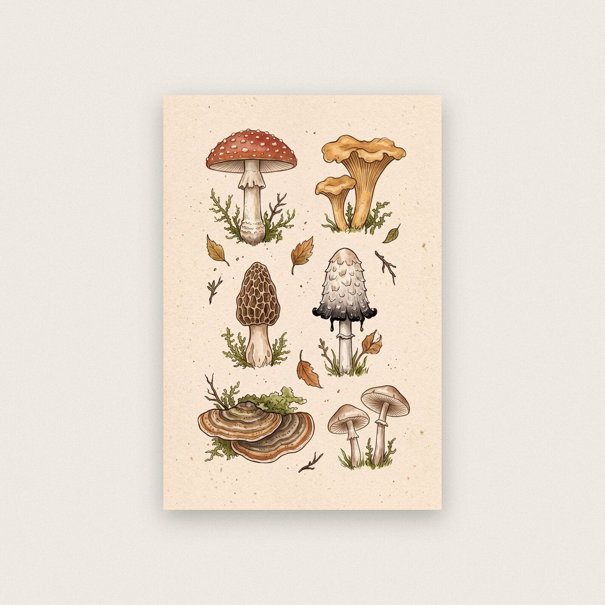 Forest Plate Fungi Mushroom Art Print