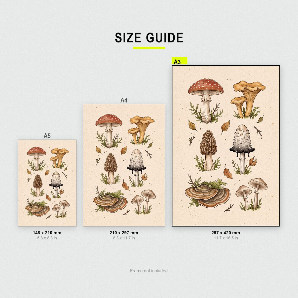 Forest Plate Fungi Mushroom Art Print