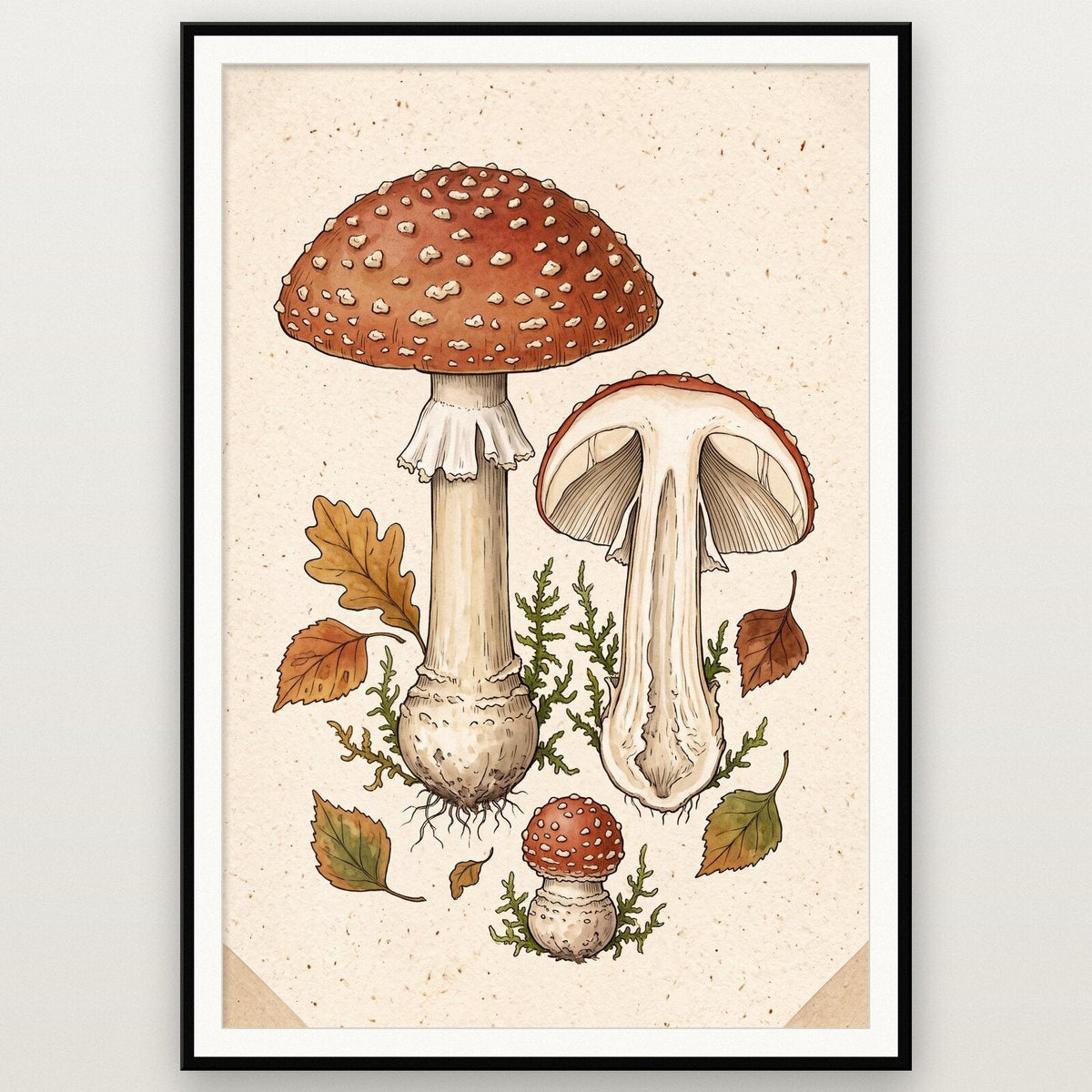 Chanterelle Fungi Mushroom Art Print