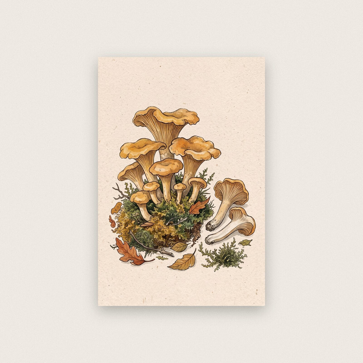 Forest Floor Fungi Mushroom Art Print