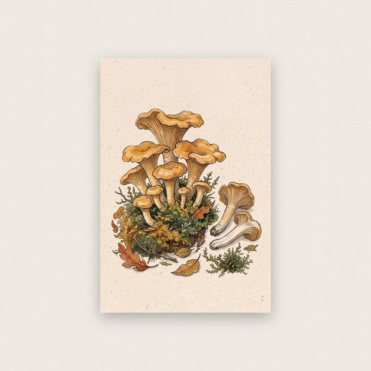 Forest Floor Fungi Mushroom Art Print