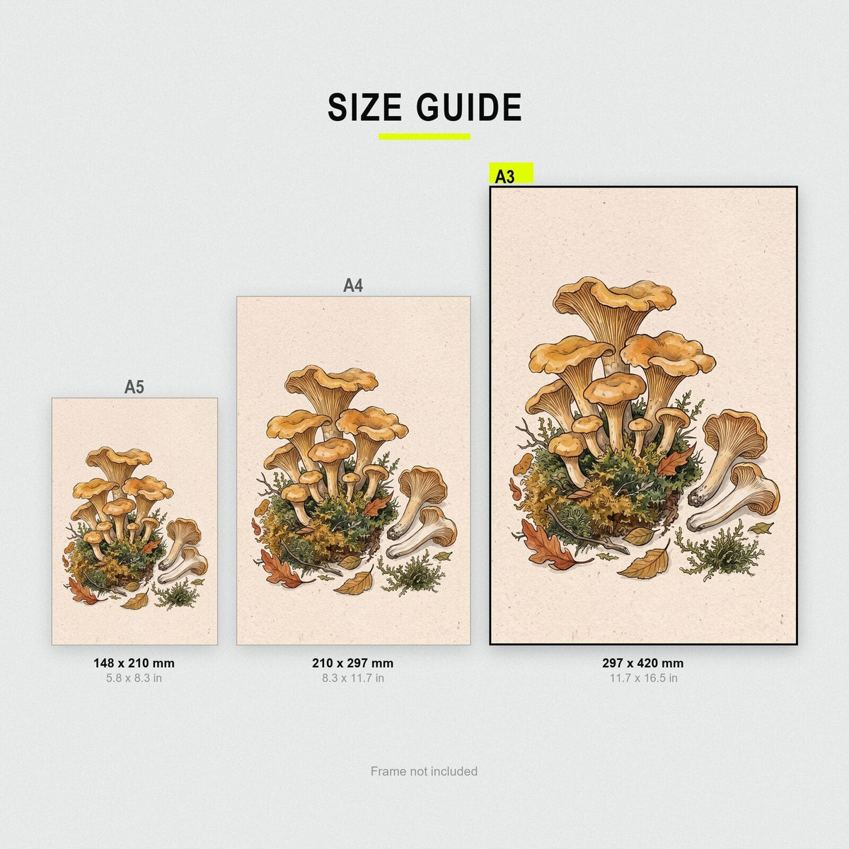 Forest Floor Fungi Mushroom Art Print