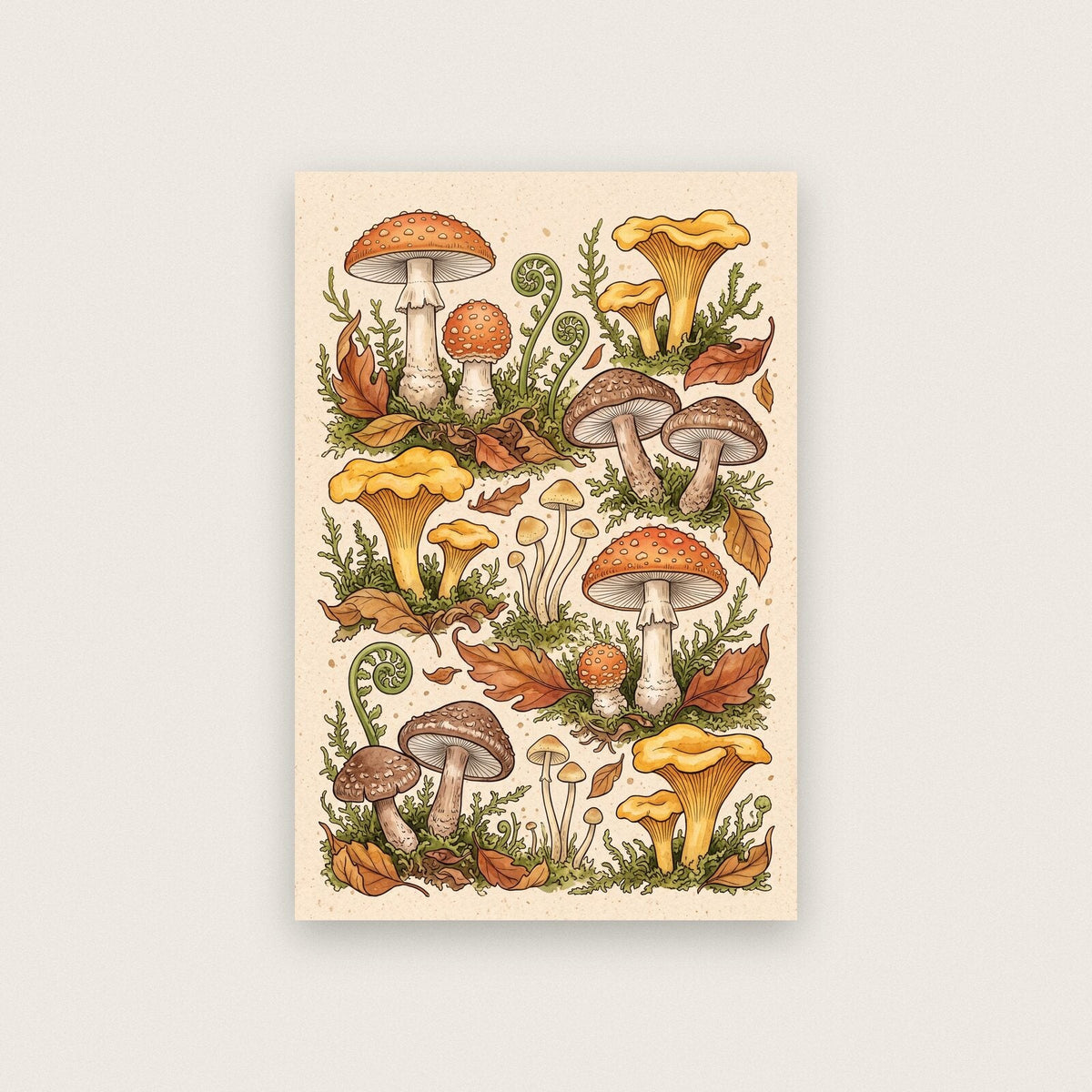 Bracket Fungi Fungi Mushroom Art Print