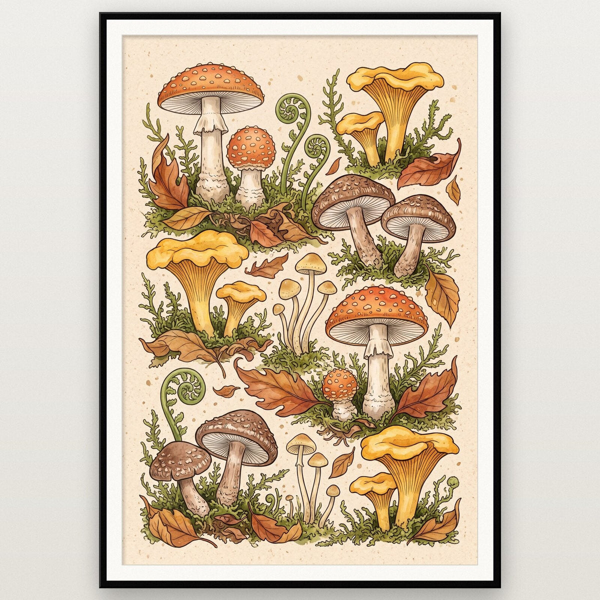 Bracket Fungi Fungi Mushroom Art Print