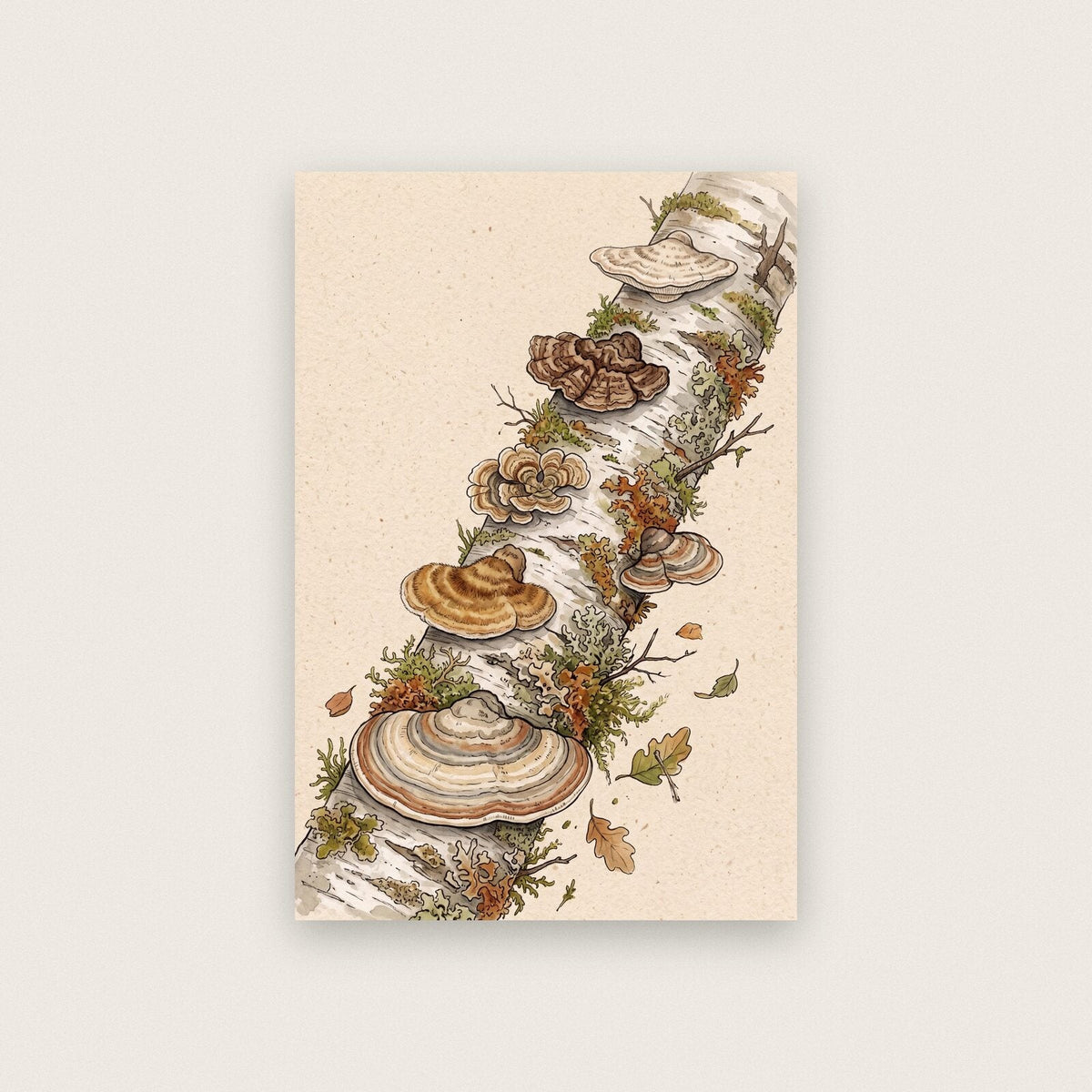 Puffballs Fungi Mushroom Art Print