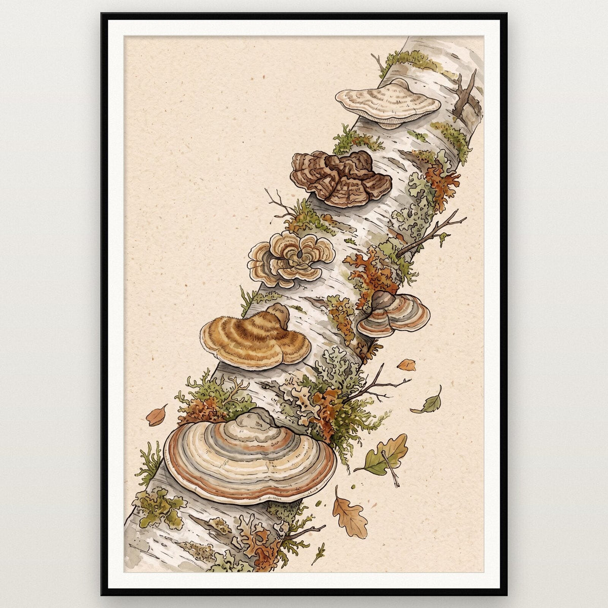 Puffballs Fungi Mushroom Art Print