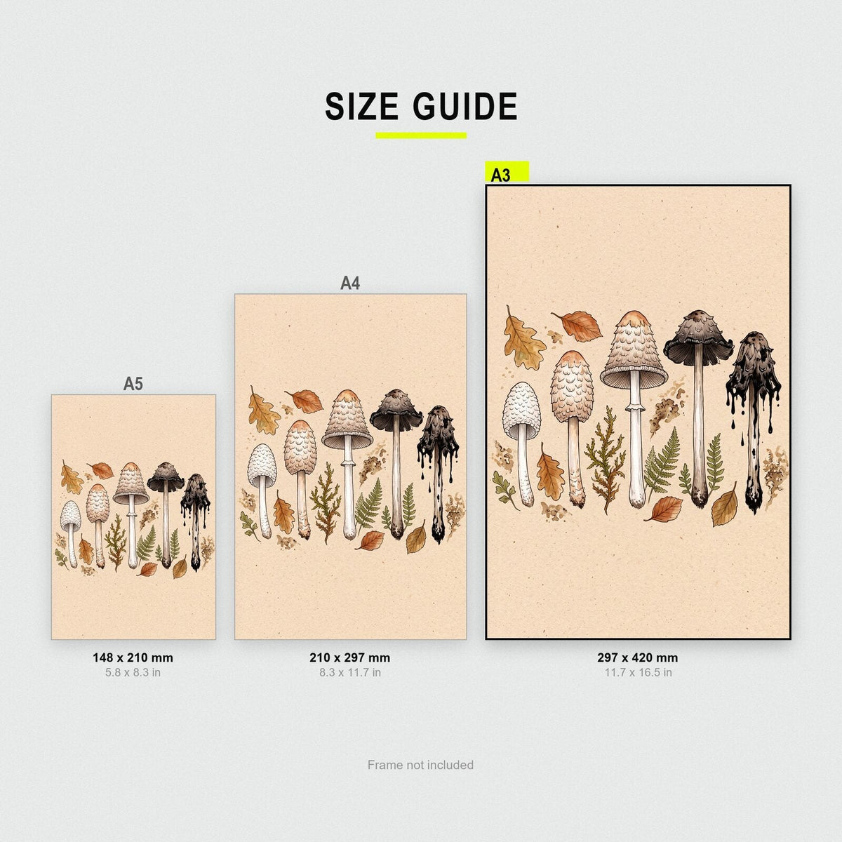 Lichens Fungi Mushroom Art Print