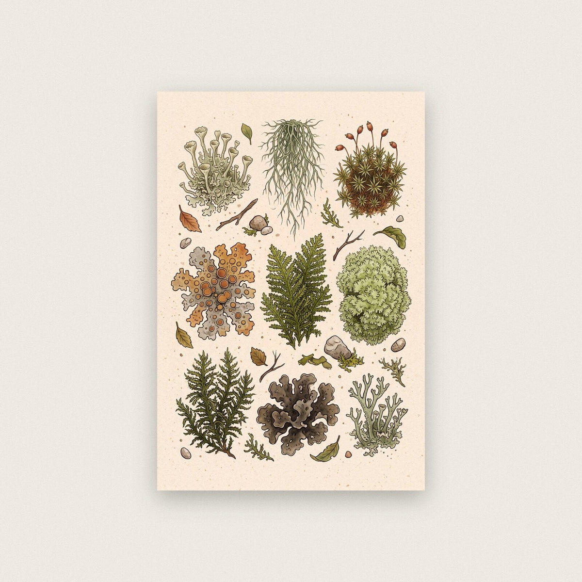 Fairy Ring Fungi Mushroom Art Print