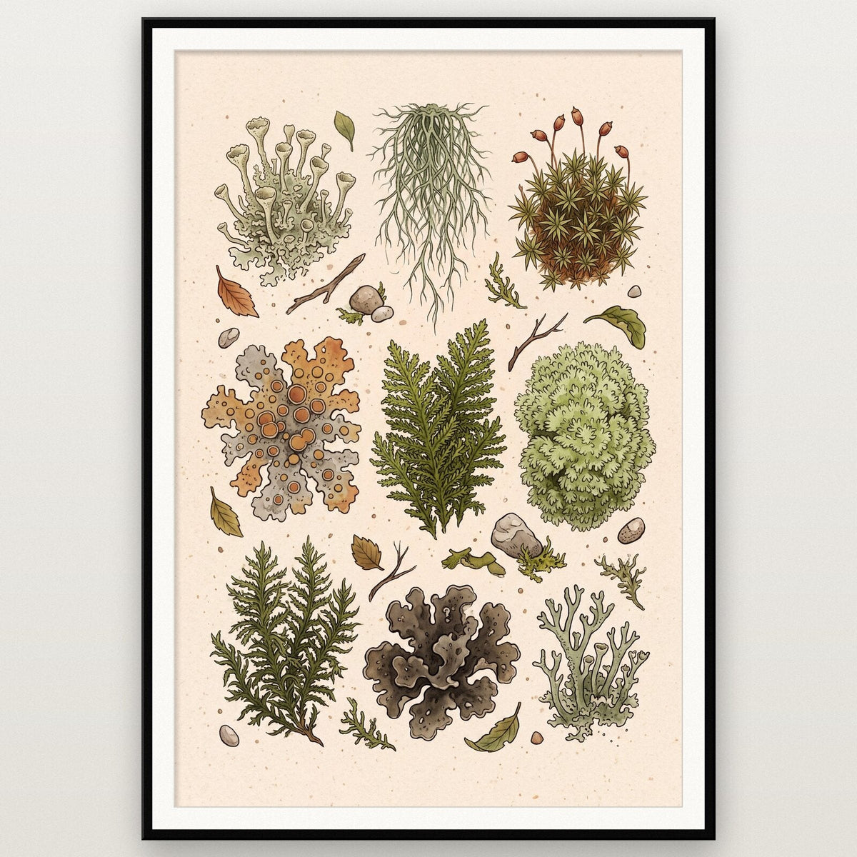Fairy Ring Fungi Mushroom Art Print