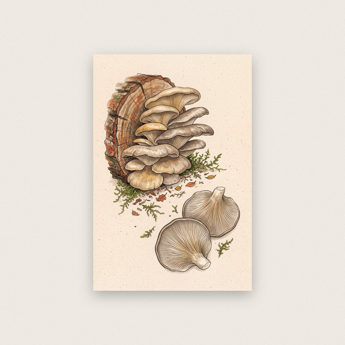 Fly Agaric Fungi Mushroom Art Print
