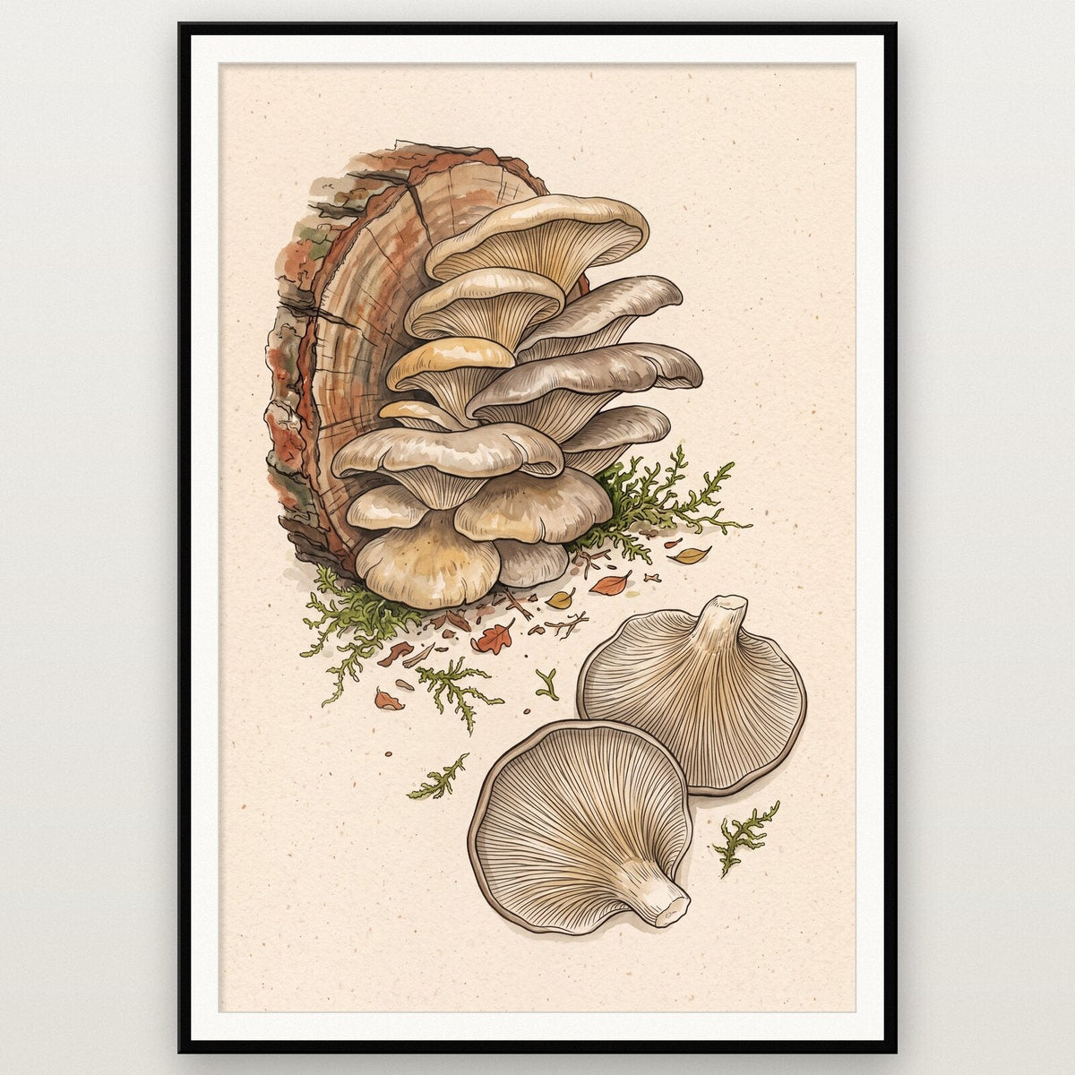 Fly Agaric Fungi Mushroom Art Print