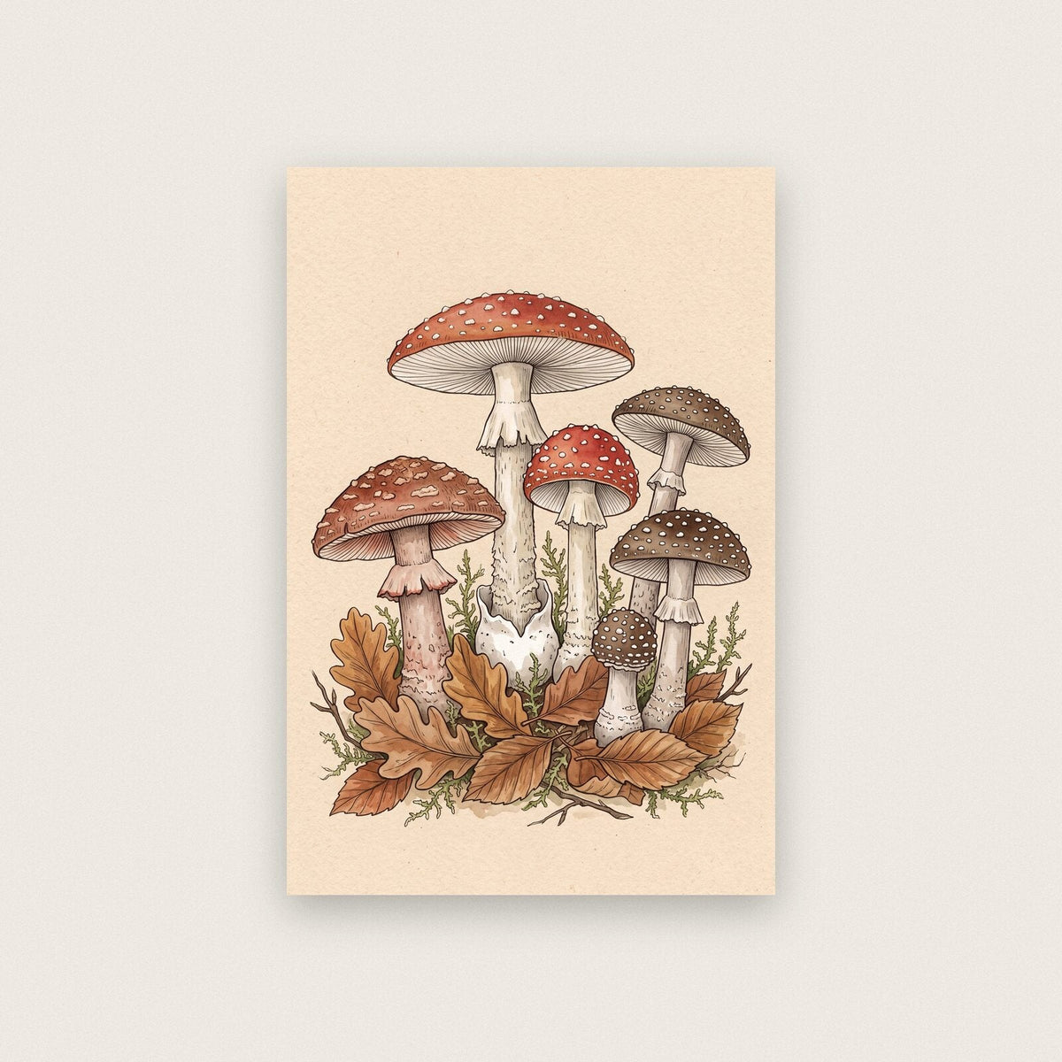 Truffles Fungi Mushroom Art Print