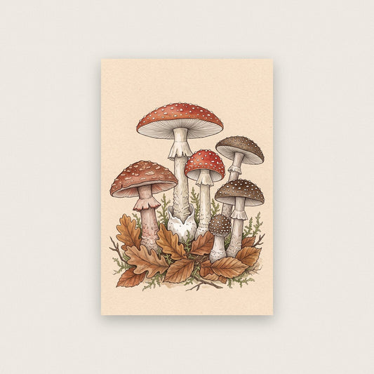 Truffles Fungi Mushroom Art Print
