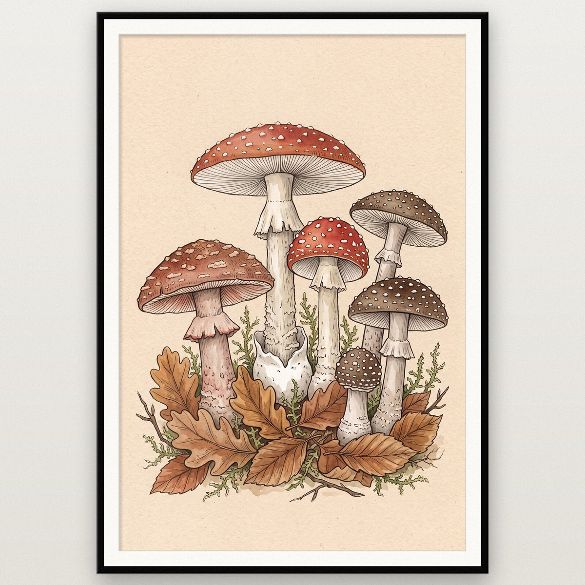 Truffles Fungi Mushroom Art Print