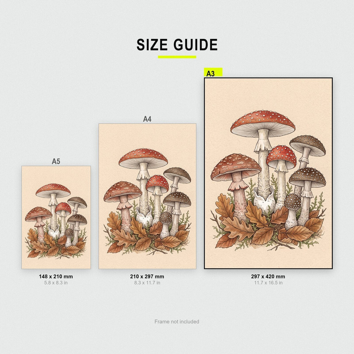 Truffles Fungi Mushroom Art Print