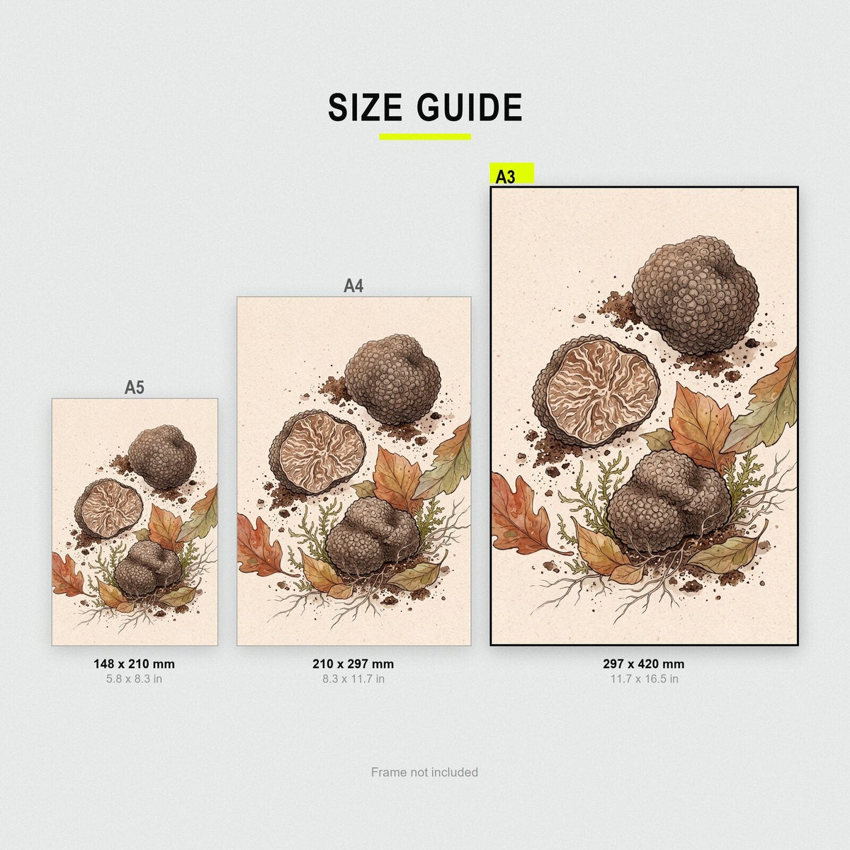 Spore Prints Fungi Mushroom Art Print