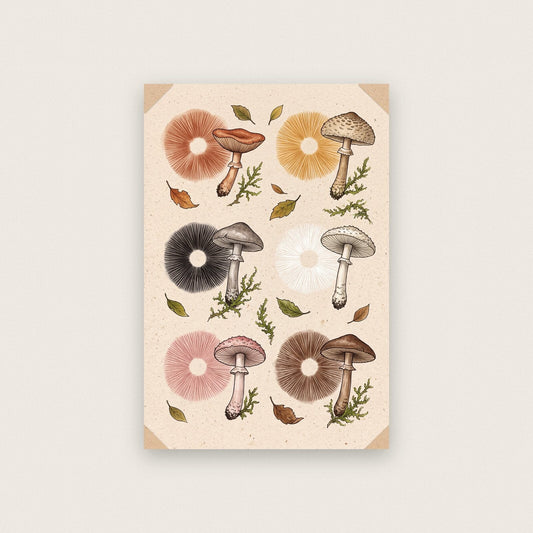 Amanita Fungi Mushroom Art Print