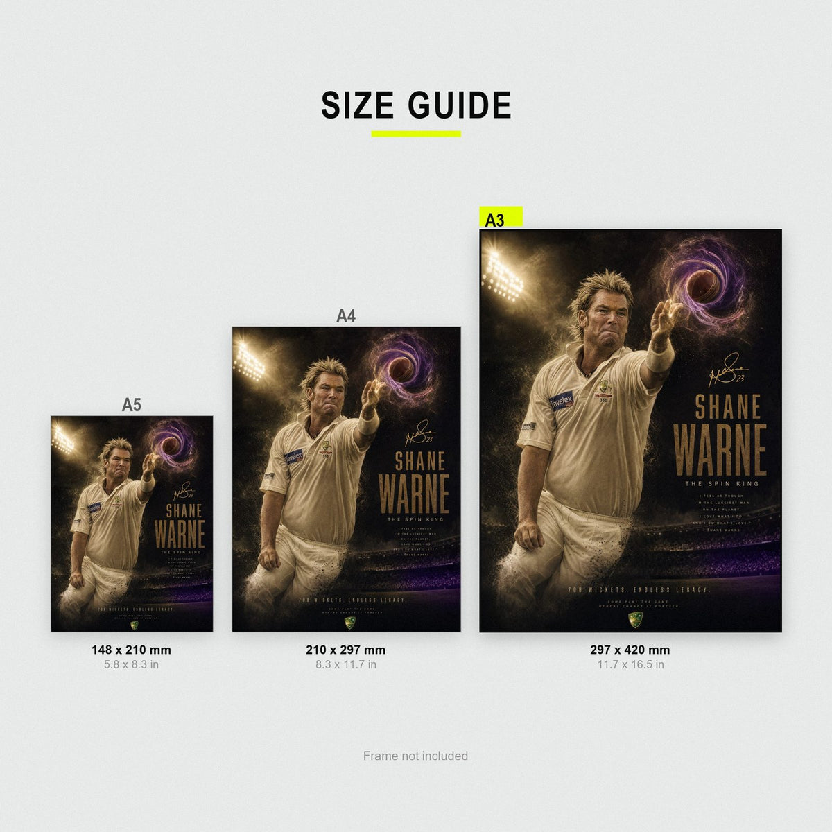Shane Warne Spin King Cricket Print size guide showing A3, A4 and A5