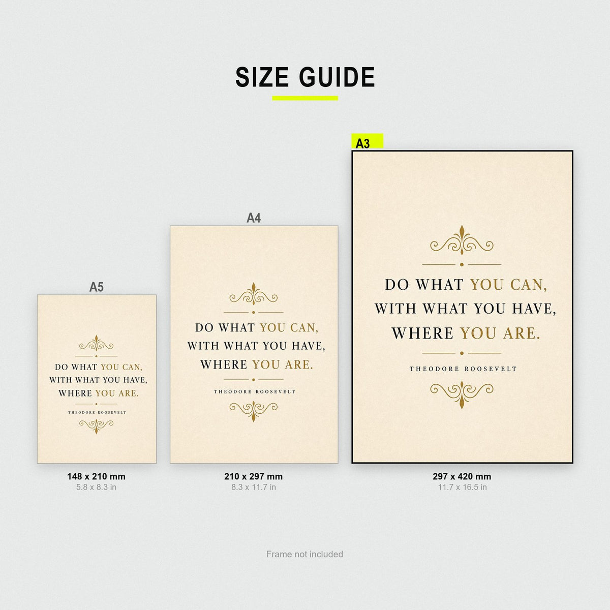 Theodore Roosevelt Do What You Can Quote Art Print