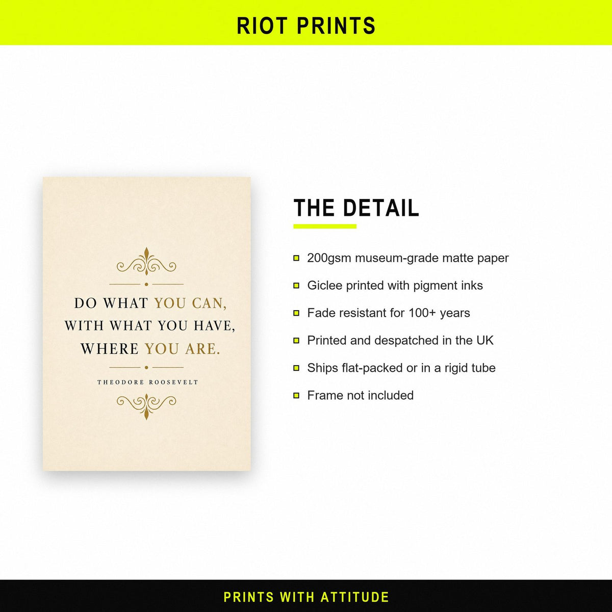 Theodore Roosevelt Do What You Can Quote Art Print