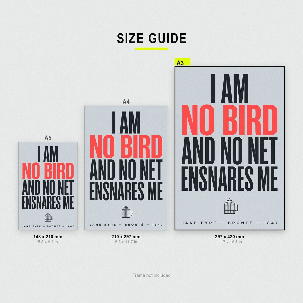 I Am No Bird Book Quote Art Print