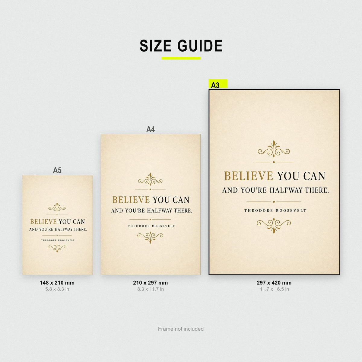 Believe You Can Theodore Roosevelt Quote Art Print