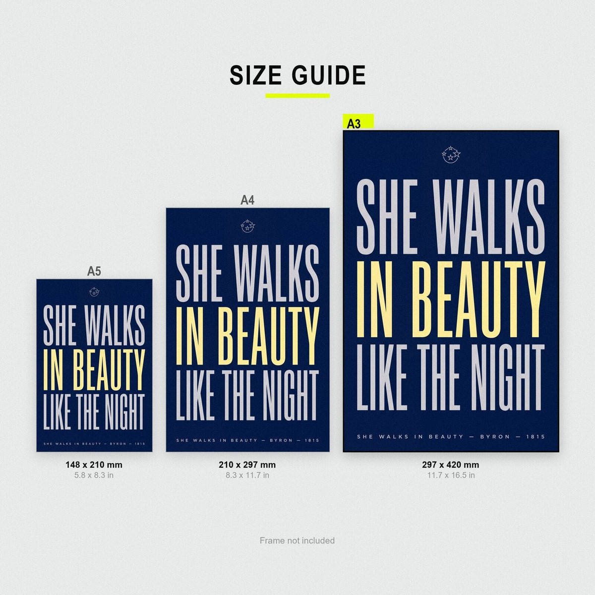 She Walks In Beauty Like The Night Book Quote Art Print