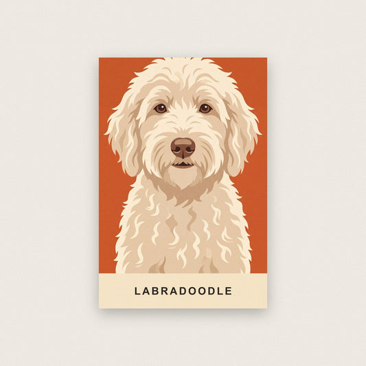 Labradoodle Dog Portrait Art Print