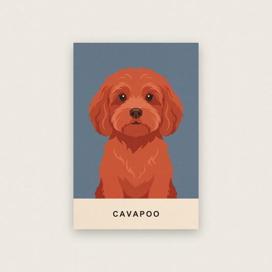 Cavapoo Dog Portrait Art Print