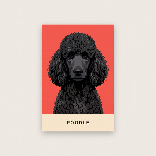 Poodle Dog Portrait Art Print