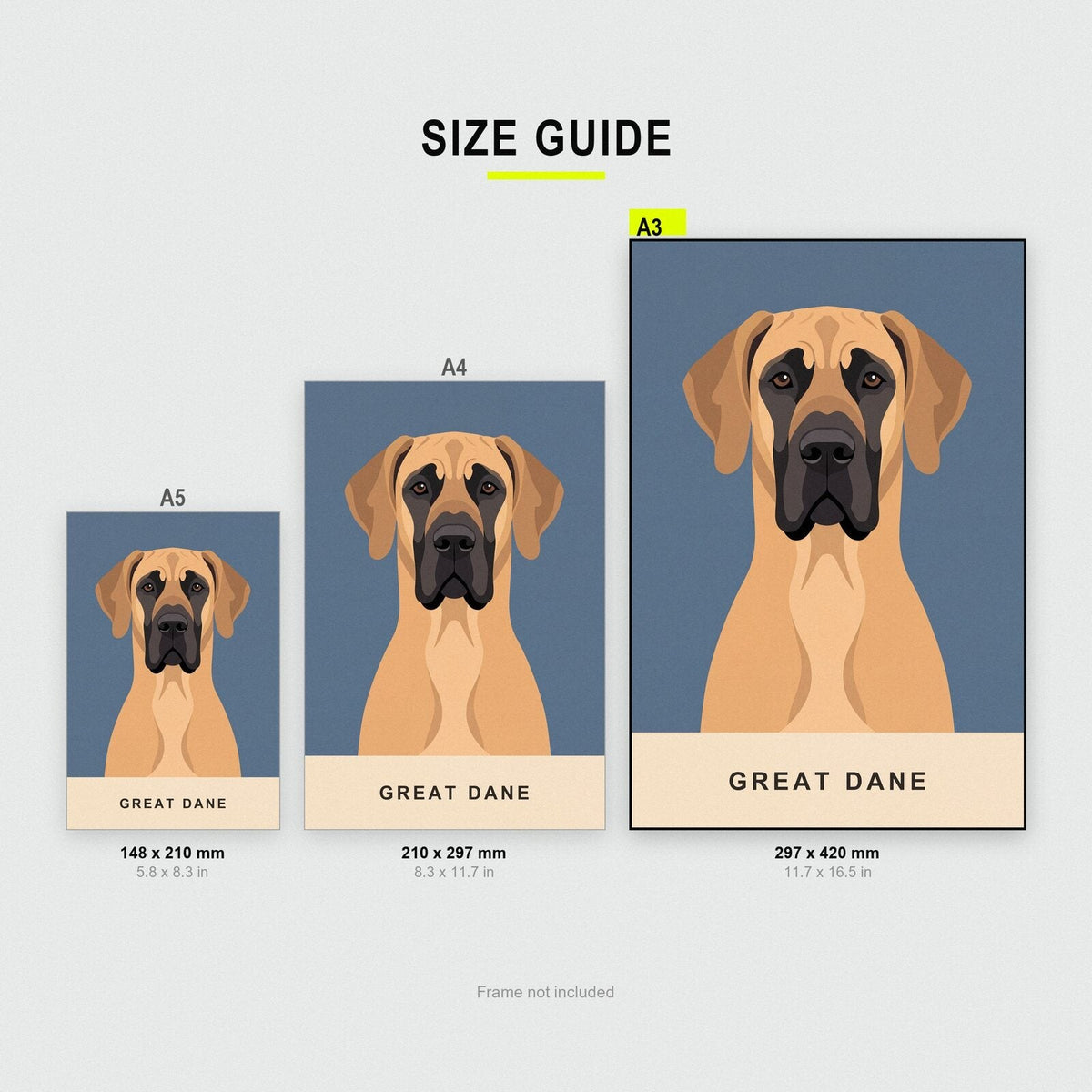 Great Dane Dog Portrait Art Print
