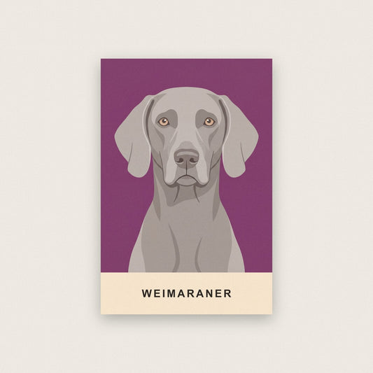 Weimaraner Dog Portrait Art Print