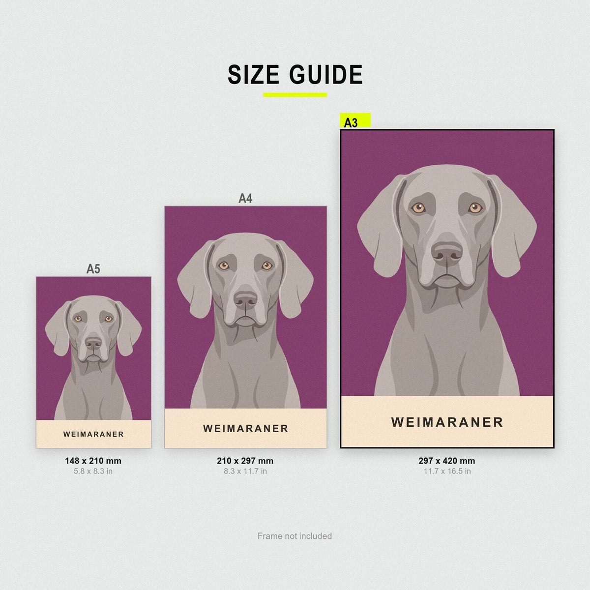 Weimaraner Dog Portrait Art Print