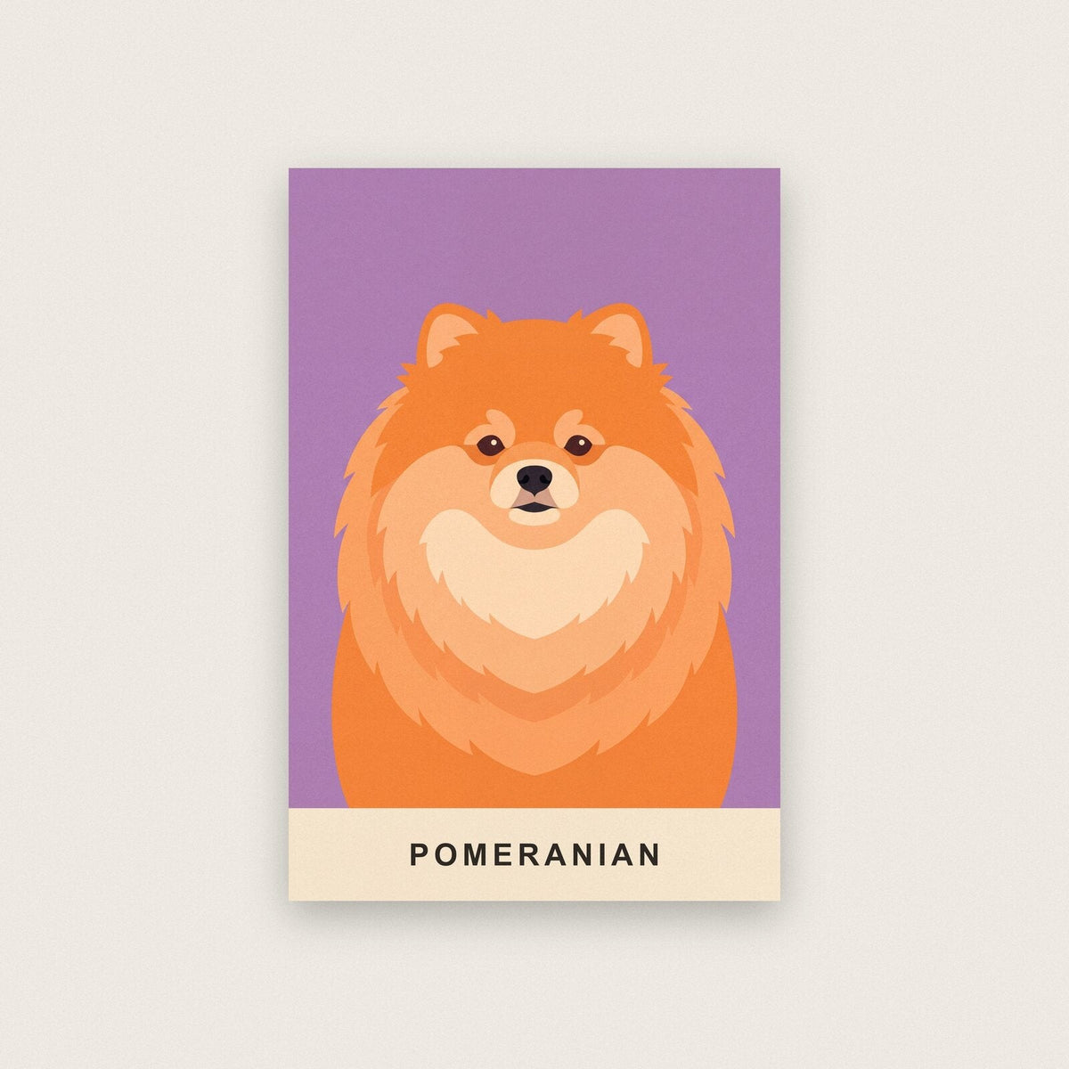Pomeranian Dog Portrait Art Print