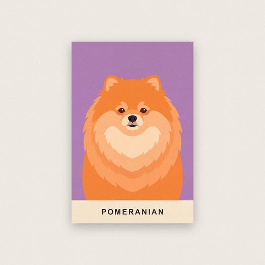 Pomeranian Dog Portrait Art Print