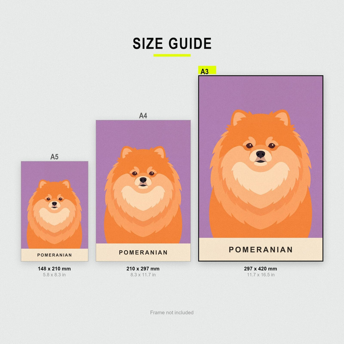 Pomeranian Dog Portrait Art Print