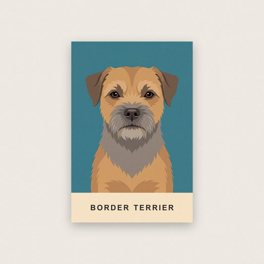 Border Terrier Dog Portrait Art Print