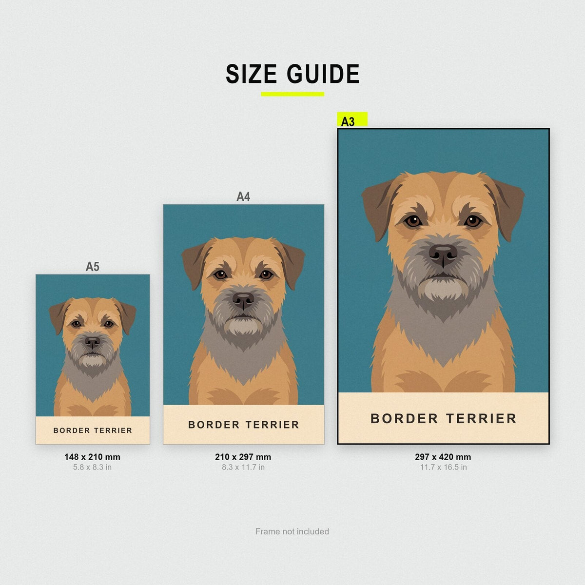 Border Terrier Dog Portrait Art Print