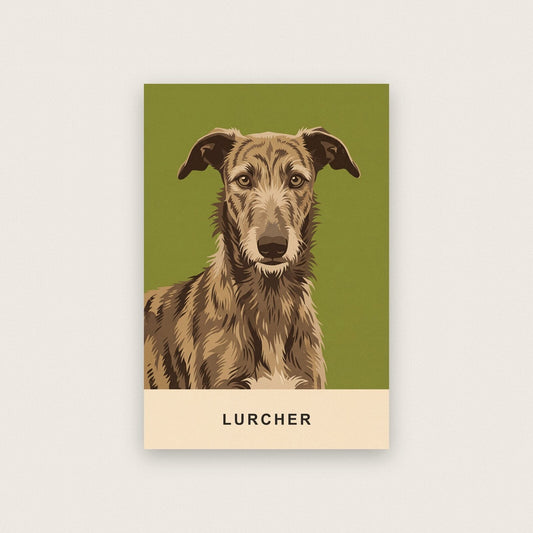 Lurcher Dog Portrait Art Print