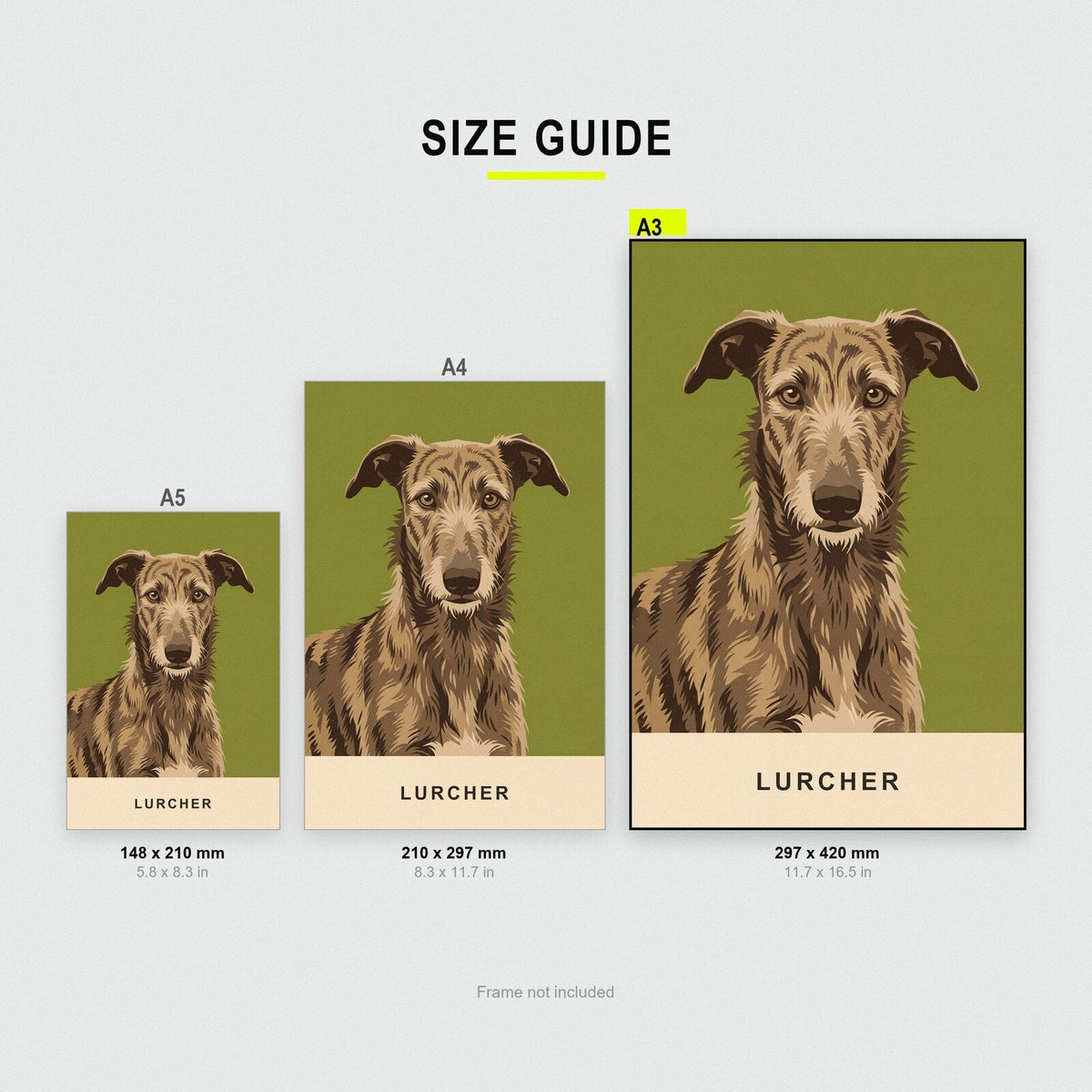 Lurcher Dog Portrait Art Print