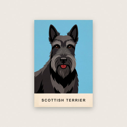 Scottish Terrier Dog Portrait Art Print