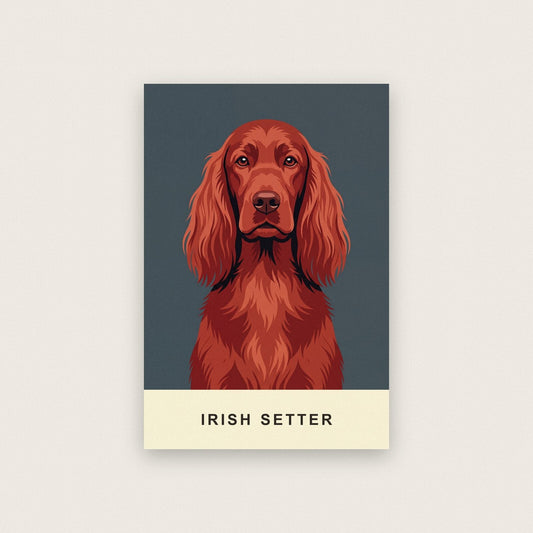 Irish Setter Dog Portrait Art Print