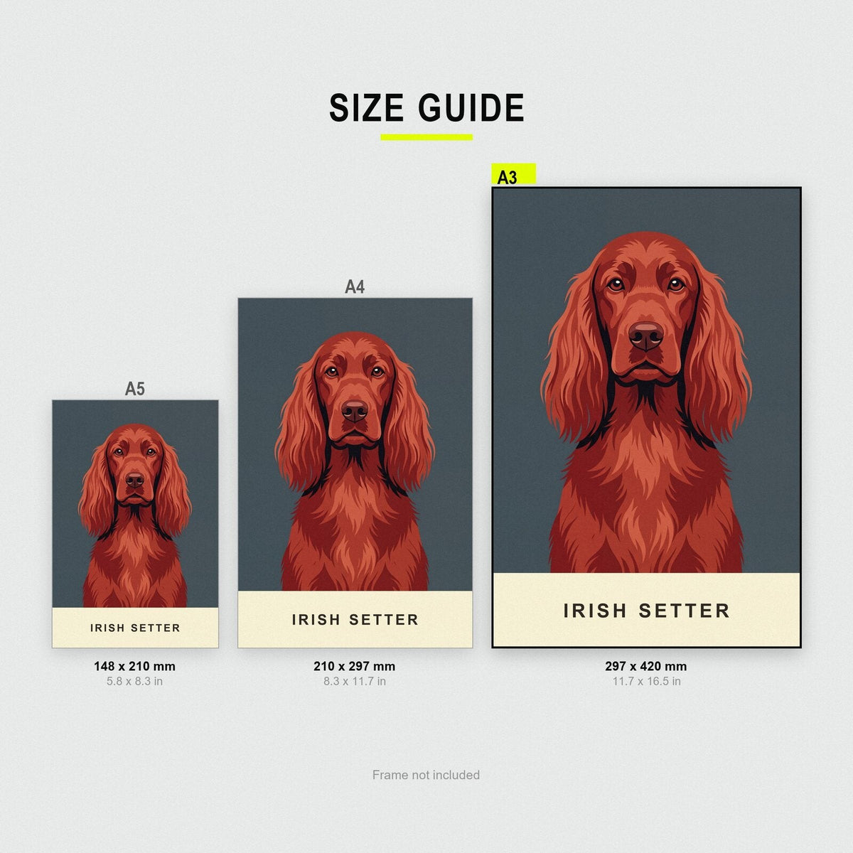 Irish Setter Dog Portrait Art Print