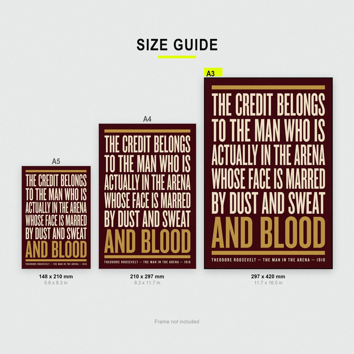 Man In The Arena Print size guide showing A3, A4 and A5