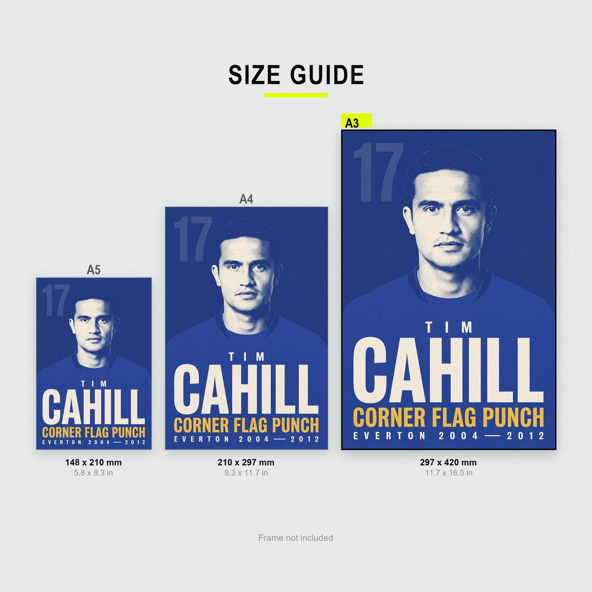 Tim Cahill Corner Flag Punch Everton Football Art Print