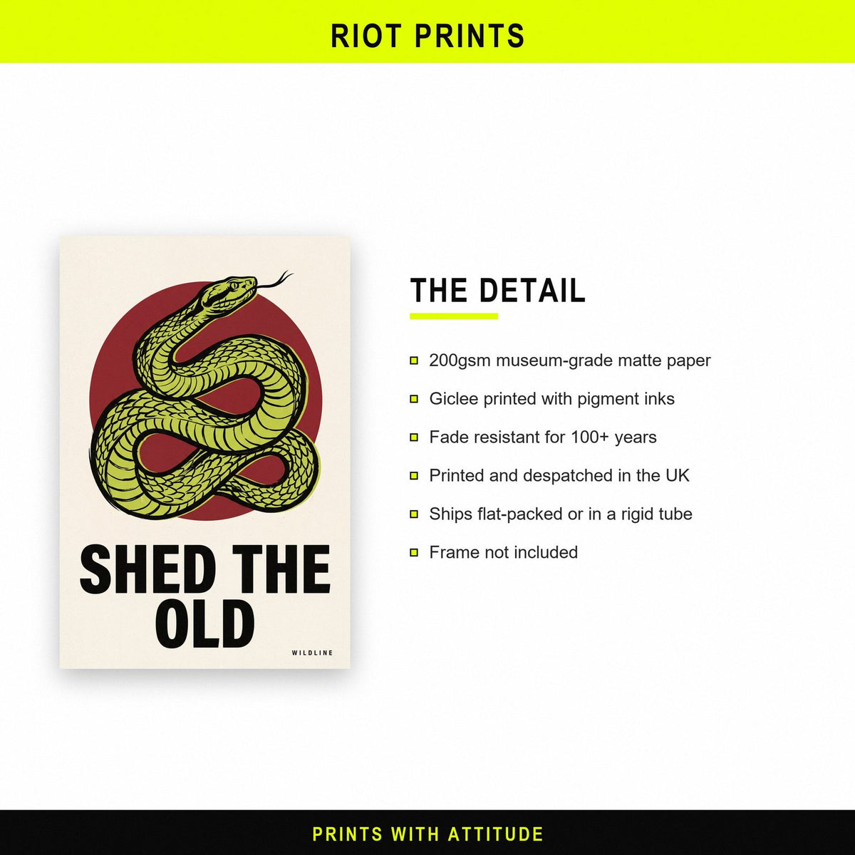 Shed The Old Snake Art Print