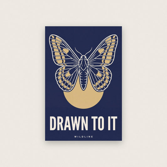 Drawn To It Moth Art Print