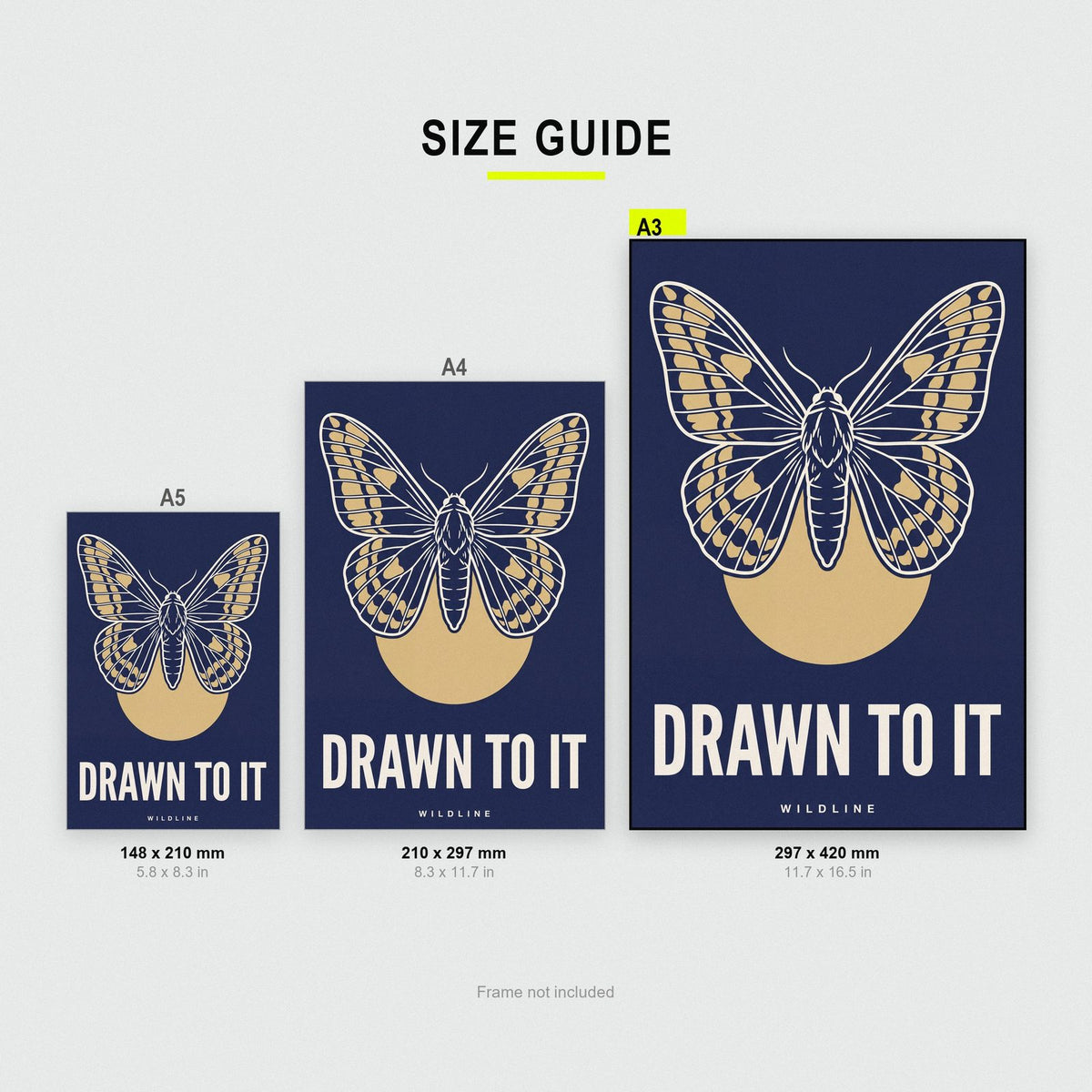 Drawn To It Moth Art Print