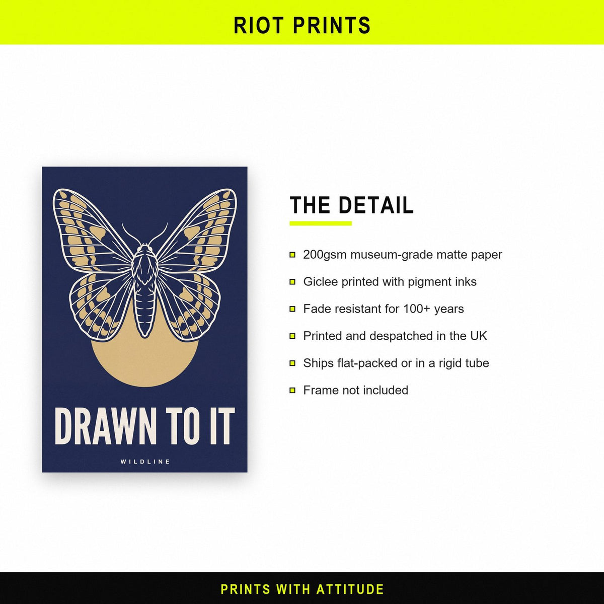 Drawn To It Moth Art Print