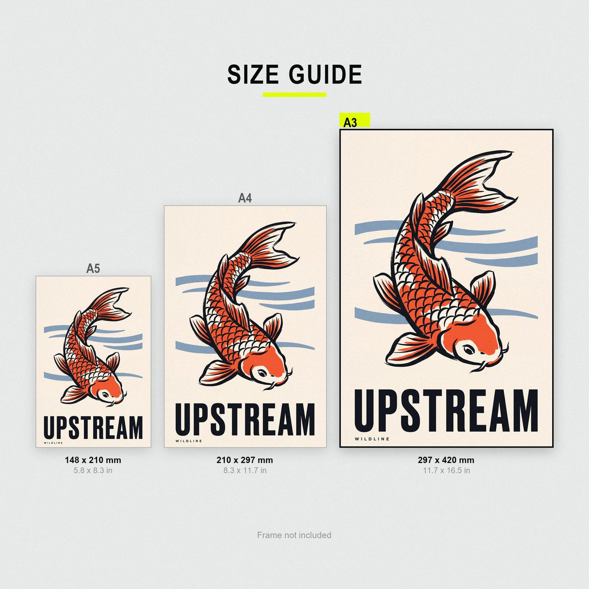 Upstream Koi Art Print